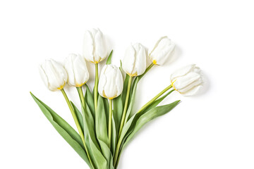 Poster - White tulips bouquet isolated on white background