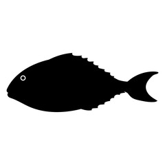 Poster - Fish icon vector. Aquarium illustration sign. Ocean symbol. Sea ​​life logo.