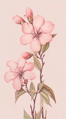 Sticker - Wallpaper pink wildflower blossom plant art.