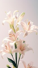 Wall Mural - A closeup of lilies on the center blossom flower anther.