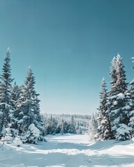 Canvas Print - a person riding skis on a snowy surface