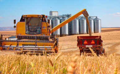 Combine harvester harvesting wheat field - Agricultural Silos for storage and drying of grains, wheat, corn, soy, sunflower