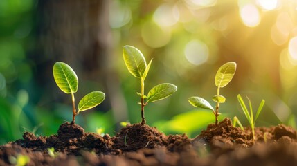 Poster - Understand the process of venture capital investment, from sourcing promising startups to conducting due diligence and negotiating investment terms.