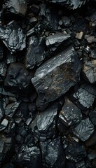 Canvas Print - coal background