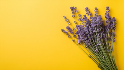 Poster - a flatlay of a lavender flower bouquet on a yellow background with copy space image perfect for lavender aromatherapy promotion