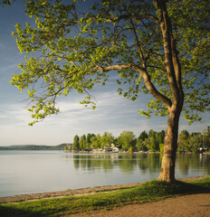 Wall Mural - Nice Kvassay avenue at lake Balaton in summer