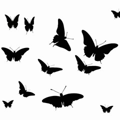 Collection of Black Silhouette Butterflies Against White Background