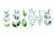 © Viam - Serene watercolor foliage collection with assorted green leaves
