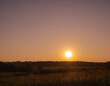 sunset in the field