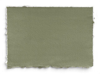 Canvas Print - Sage Deckled Edge 7x5 Paper