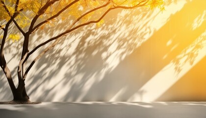 Wall Mural - abstract shadows blurred background of gray leaves and natural trees that reflect concrete walls fallen branches on white wall surfaces for blurred backgrounds and black and white wallpapers