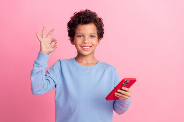 Sticker - Photo of funky cool son dressed blue sweatshirt texting modern gadget showing okey emtpy space isolated pink color background