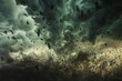 © furyon - dramatic scene of a massive flock of birds in vformation silhouetted against a turbulent sky storm clouds loom ominously creating a powerful image of natures raw energy and animal instinct