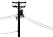 © cindy - black silhouette electric pole on white background