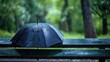© CHAKKAPONG - A lively and detailed photo of a rain-soaked umbrella left on a park bench, hinting at a brief respite from the storm