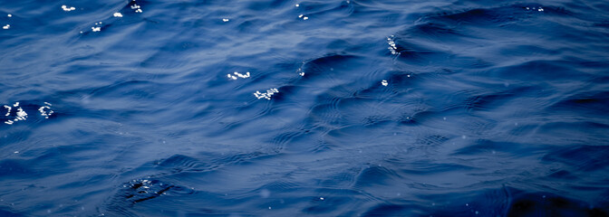 Wall Mural - blue sea water surface texture background with ripples