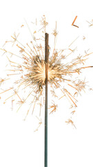 Canvas Print - Realistic sparkler isolated.