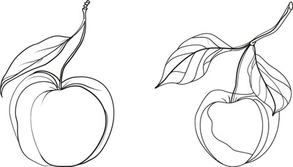 Aufkleber - Line art drawing of a peach fruit. One line drawn in black on a white background. Modern illustration.