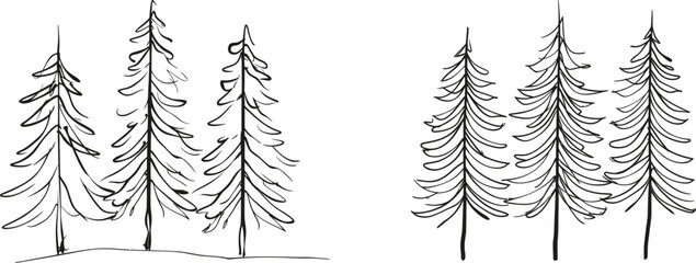 Poster - The pine fir trees of a forest. Continuous line drawing