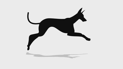 Wall Mural - Dog running video animation