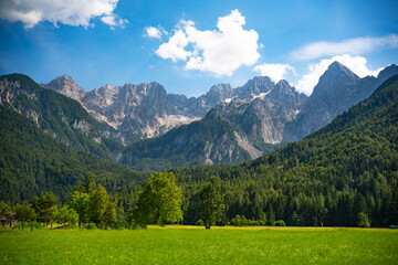 Summer landscape in the Alpine Mountains in Slovenia. A large green lawn, mountain is covered with dense forests, the majestic rocky Julian Alps