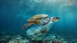 © atipong - Environmental issue of plastic pollution problem. Sea Turtles can eat plastic bags mistaking them for jellyfish Sea turtle trapped in a plastic bag Stop ocean plastic pollution concept