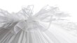 © MakoPoko - Practice tutu with layers of tulle, capturing its lightness and volume. Isolate white background