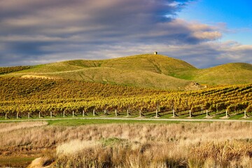 Canvas Print - New Zealand