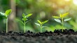 © Bilal - Green seedling illustrating concept of new life and eco-friendly development