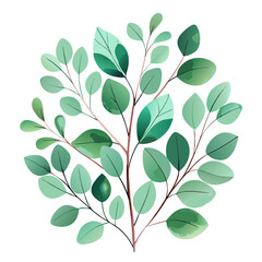 f green eucalyptus leaves in various shades and accents