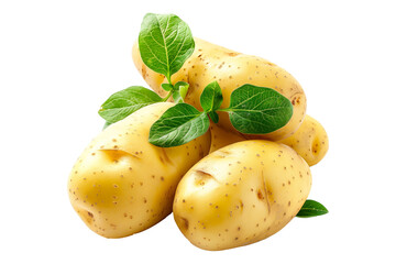 Wall Mural - Fingerling potatoes isolated on a white background.