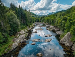 Wall Mural - A serene river flows through a dense and vibrant green forest, surrounded by tall trees and vegetation