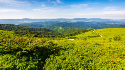 Wall Mural - alpine scenery of carpathian mountain in summer. grassy meadows and forested slopes. road winding down the rolling hill in to the distant valley. sunny weather