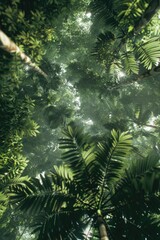 Naklejka na meble View of a forest canopy from a low angle, ideal for use in environmental or outdoor-themed projects