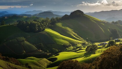 Wall Mural - rolling hills of green dotted with crops of exotic es