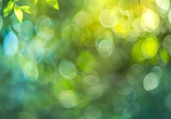 Sticker - Abstract Green Bokeh Background Blurred Nature