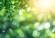 © MD - Green Nature Bokeh Background for Summer Banner