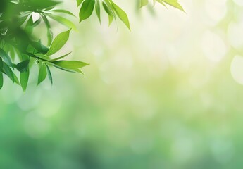 Wall Mural - soft blurred green nature spring background