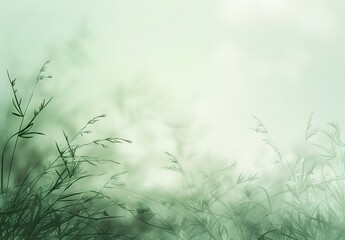 Wall Mural - soft green blurred nature spring background
