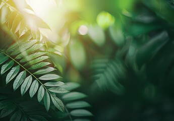 Wall Mural - blurred green leaf texture background with sunlight
