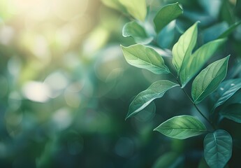 Wall Mural - closeup green leaves sunlight bokeh background