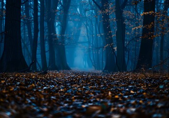 Canvas Print - Mysterious Dark Forest Path with Blue Light