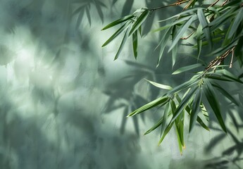 Wall Mural - bamboo leaf shadows on green wall background