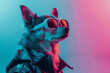 © DreamyStudio - Generative AI colorful illustration of fantasy dog character in sunglasses and leather jacket looking away against pink and turquoise background