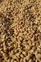 Wall Mural - Close up of coffee beans for background          