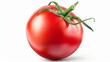 © atipong - One tomato isolated on white background. Fresh red tomato