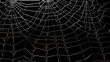 © sorin - Spooky halloween spider web on a dark black background creating a haunting atmosphere