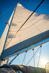 Wall Mural - Sails of a sailing yacht in the wind sailing on the sea at sun light