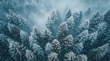 Wall Mural - Capture an enchanting aerial view of snowfall blanketing a forest, transforming the landscape into a winter wonderland.