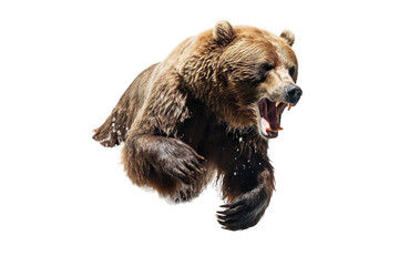 a grizzly bear's mid-air roar in a moment of fury on a white or clear surface png transparent backgr